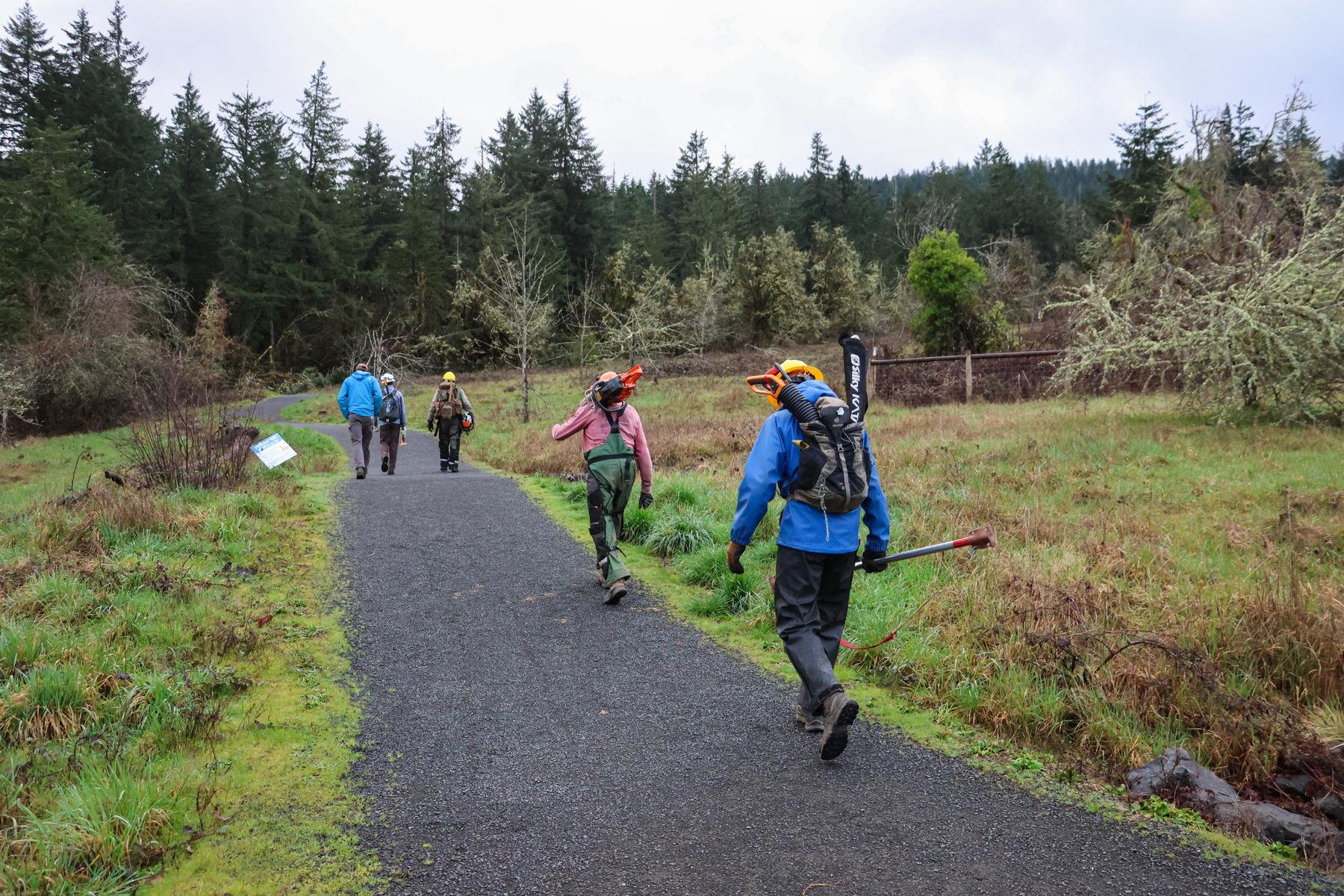 Work crews walk on path at Thurston Hills Natural Area ready to clear debris