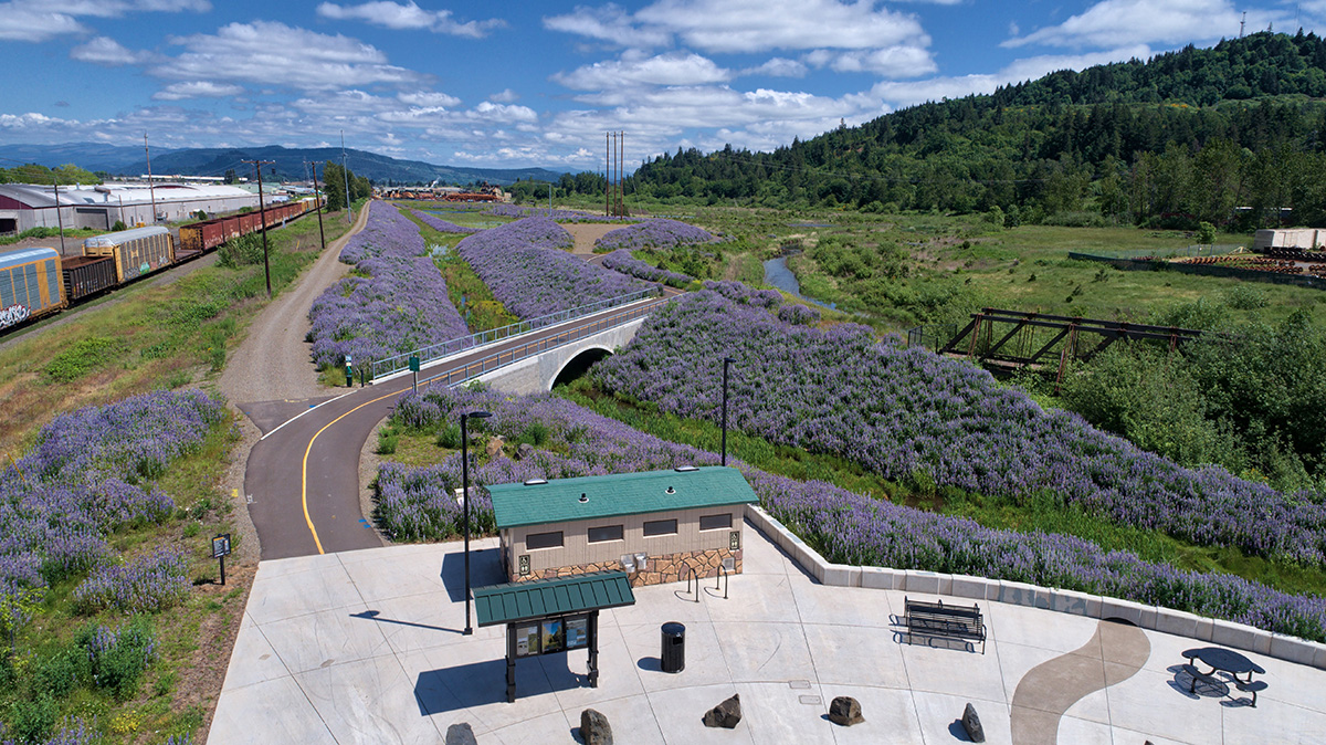 Overhead view of flowers blooming alongside Mill Race Path, showcasing Booth Kelly Trailhead