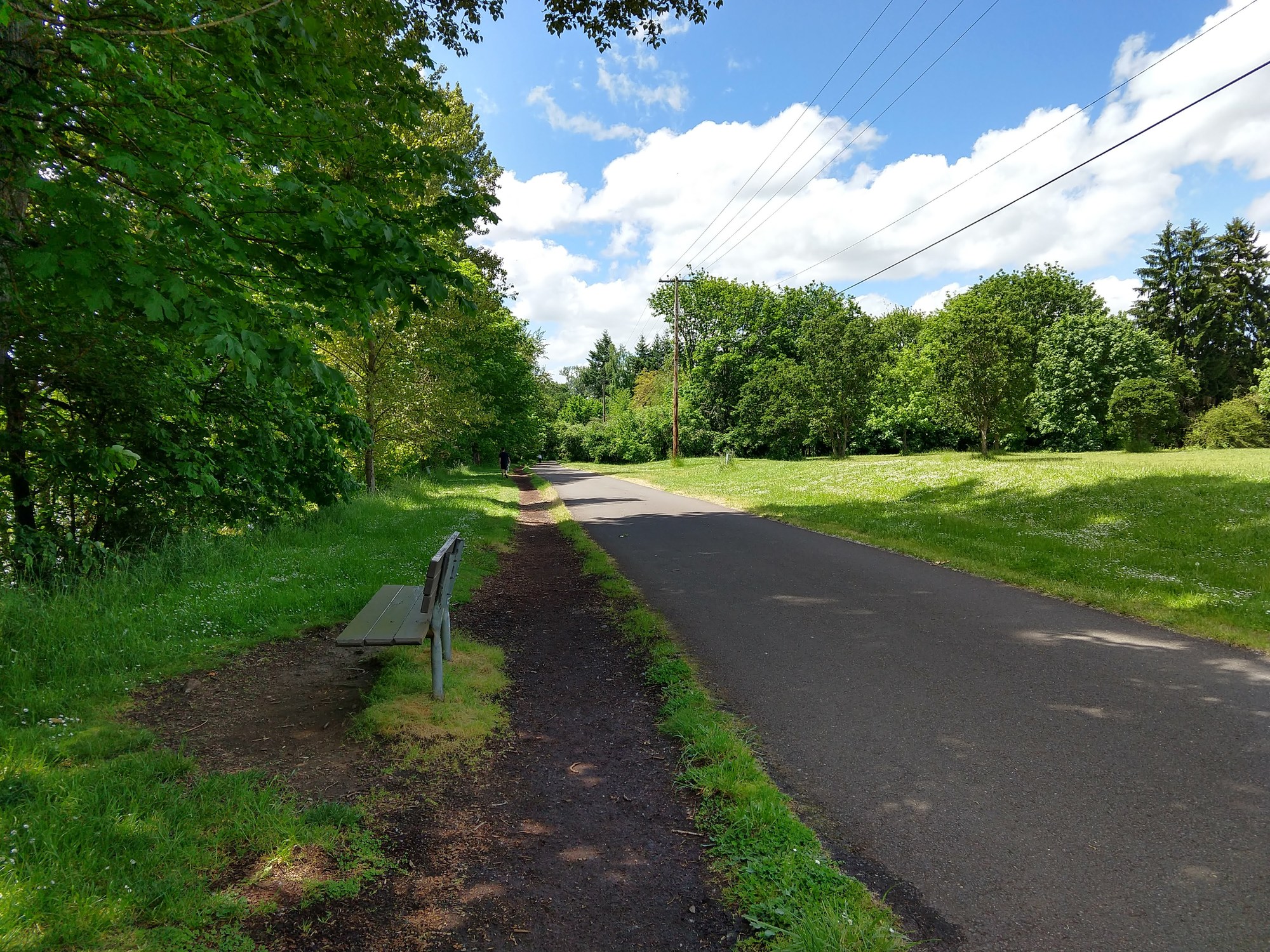 Paved path in summer