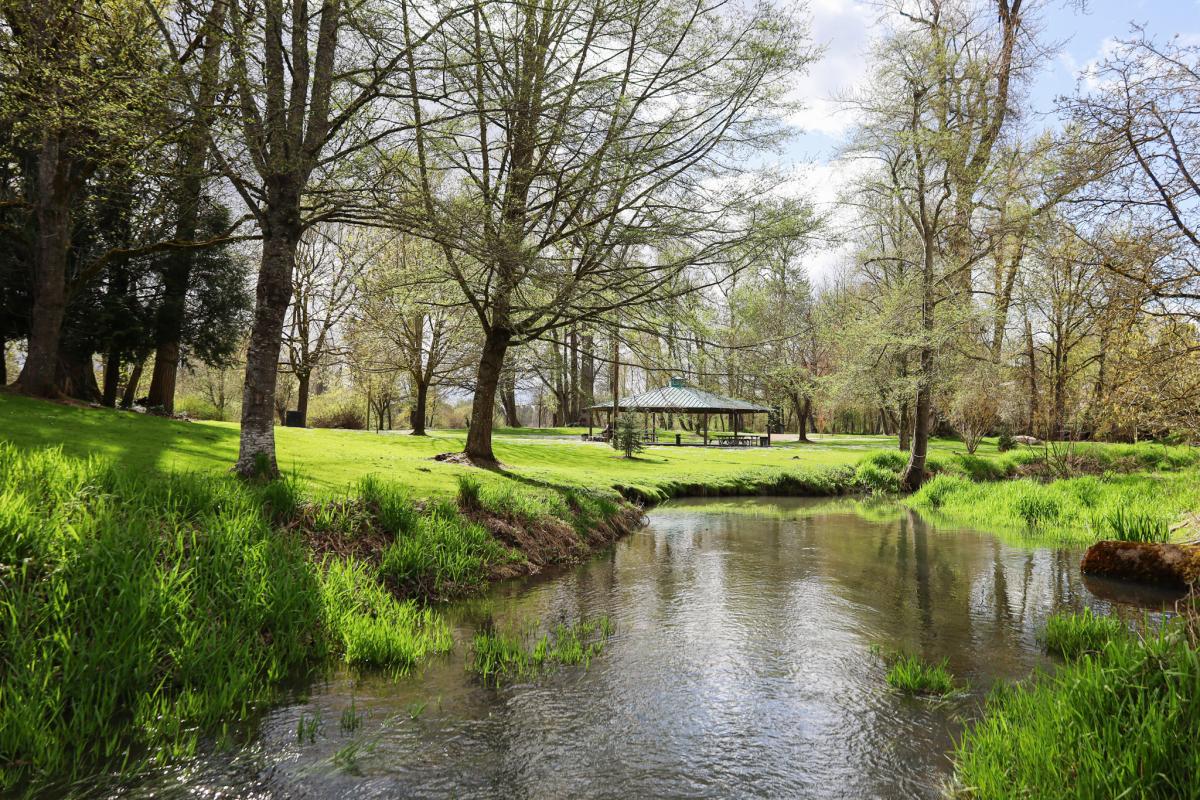 A small stream weaves through the park with tall trees in spring on a sunny day