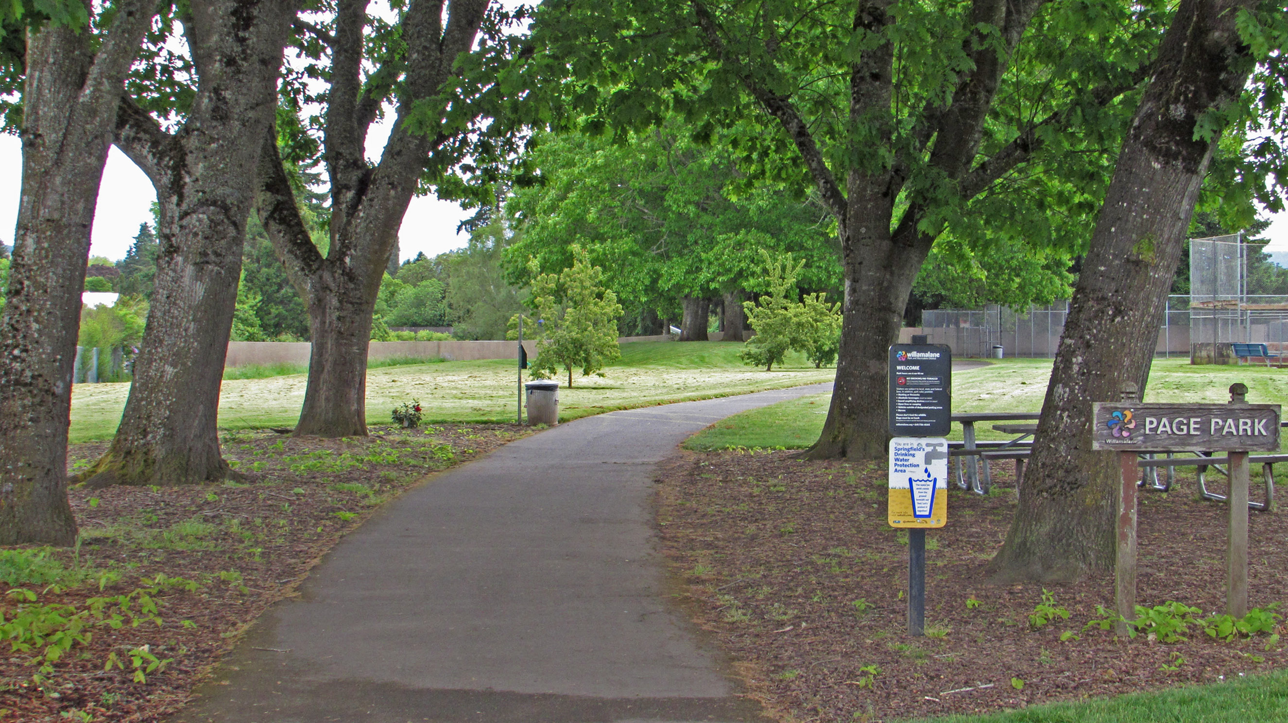 A path between trees leads to a tennis court at Page Park