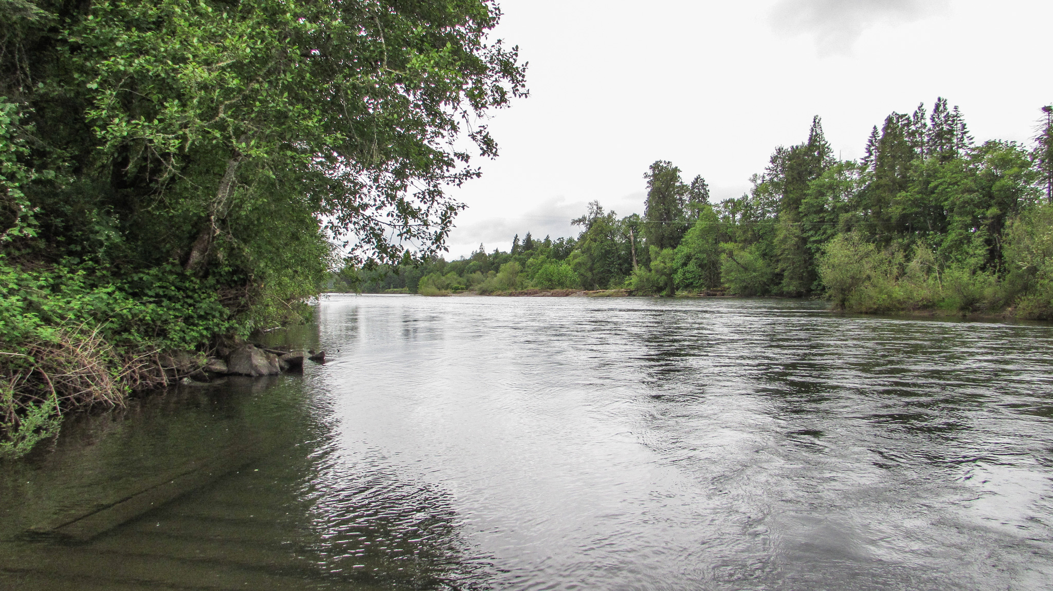 Trees and shrubs line each side of a wide riverbank