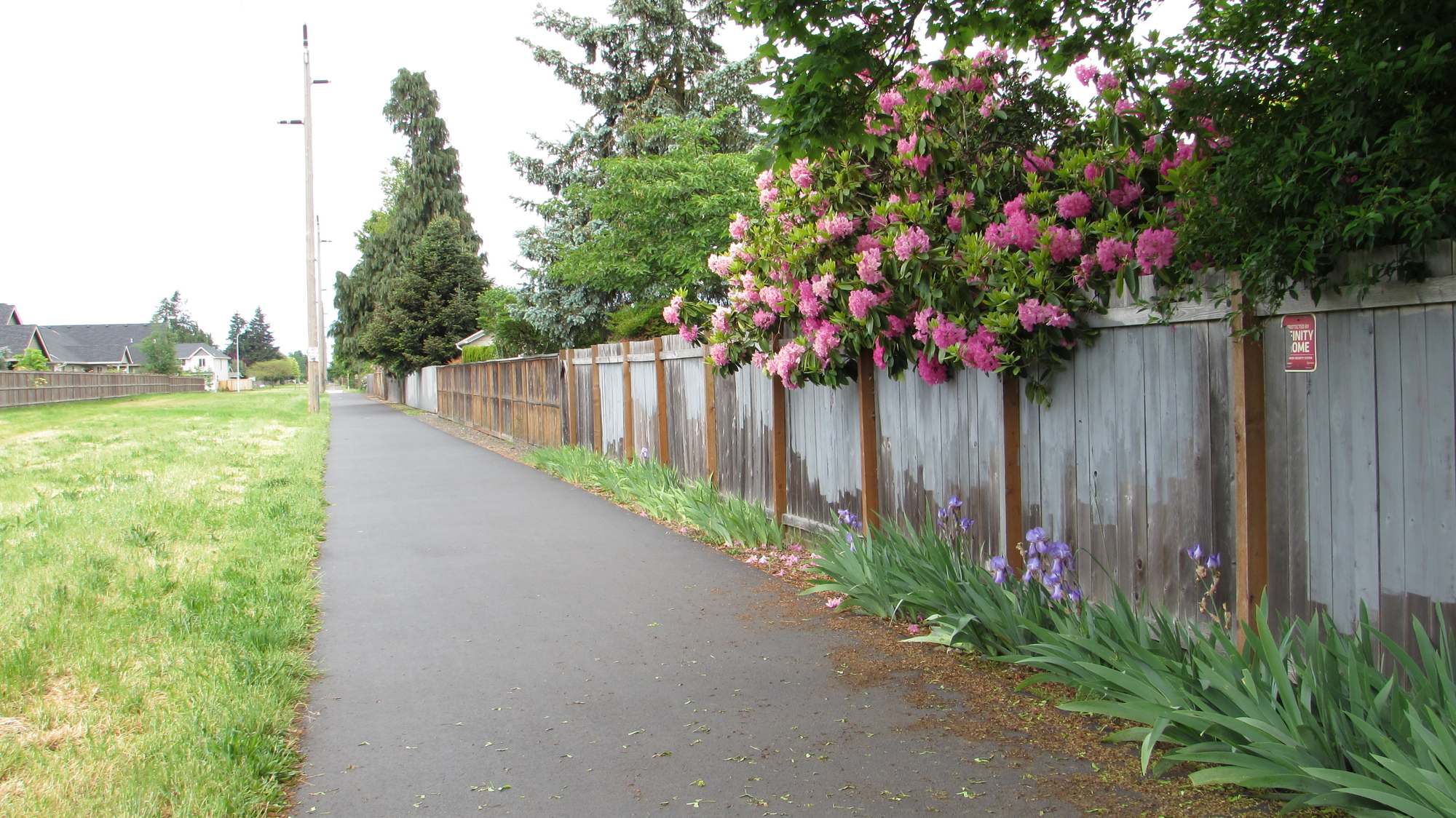 paved multi-use path with flowers in springtime