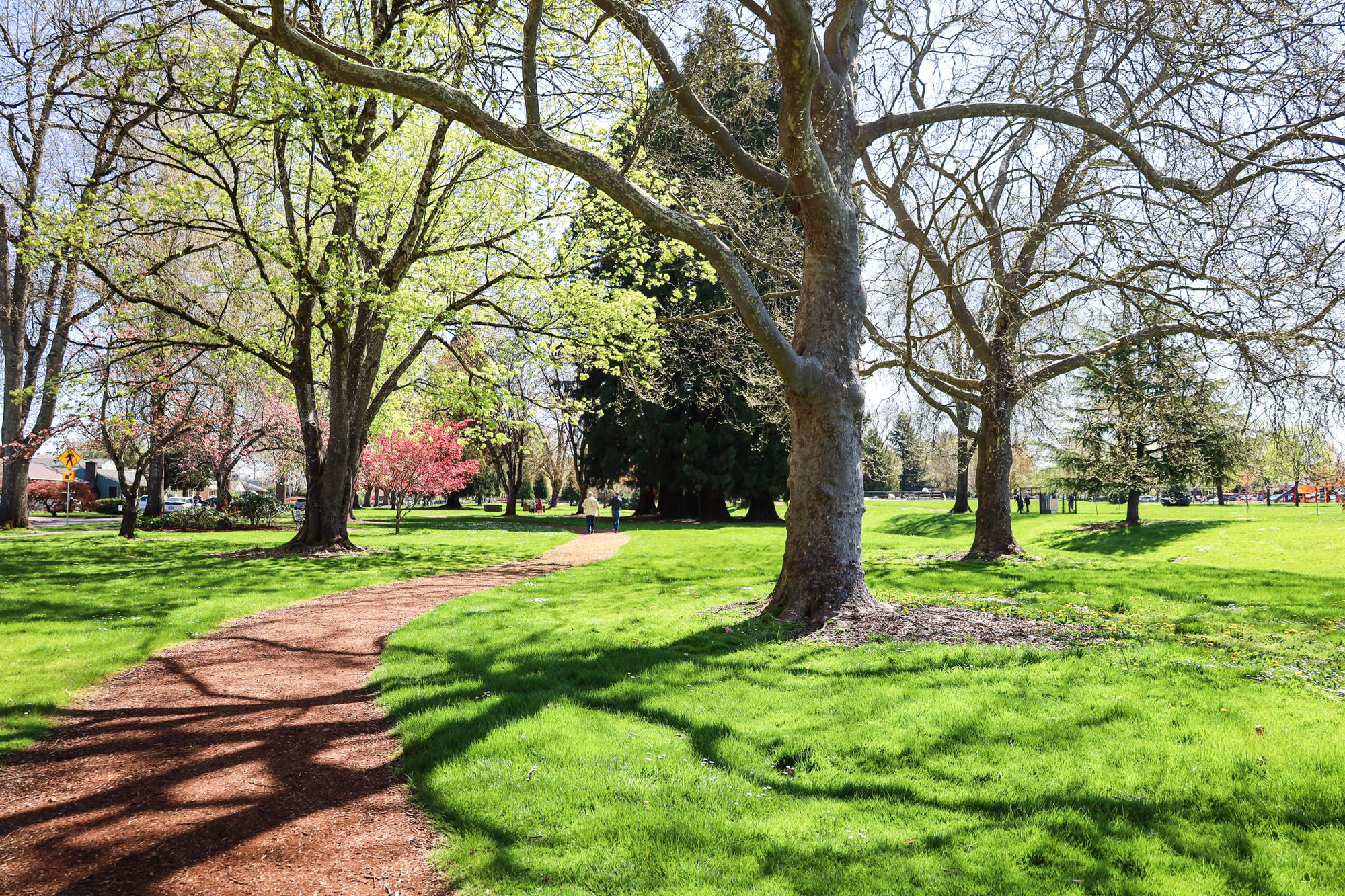 A sunny summer day in Willamalane Park showing Shana's Trail and two people walking