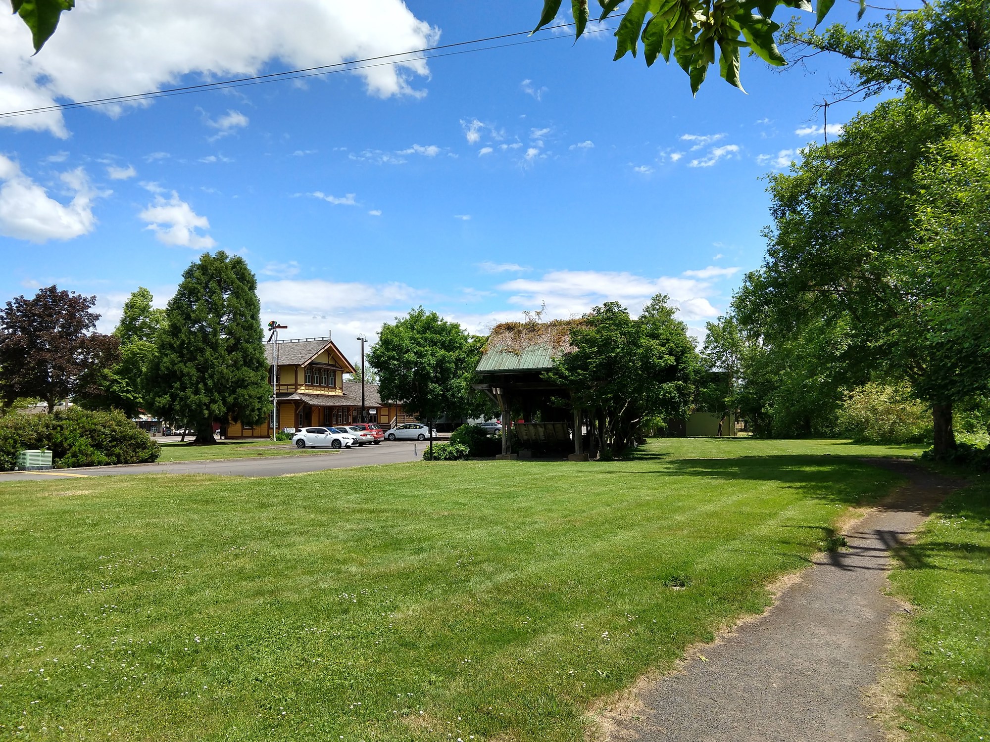 Open green space on a sunny, summer day