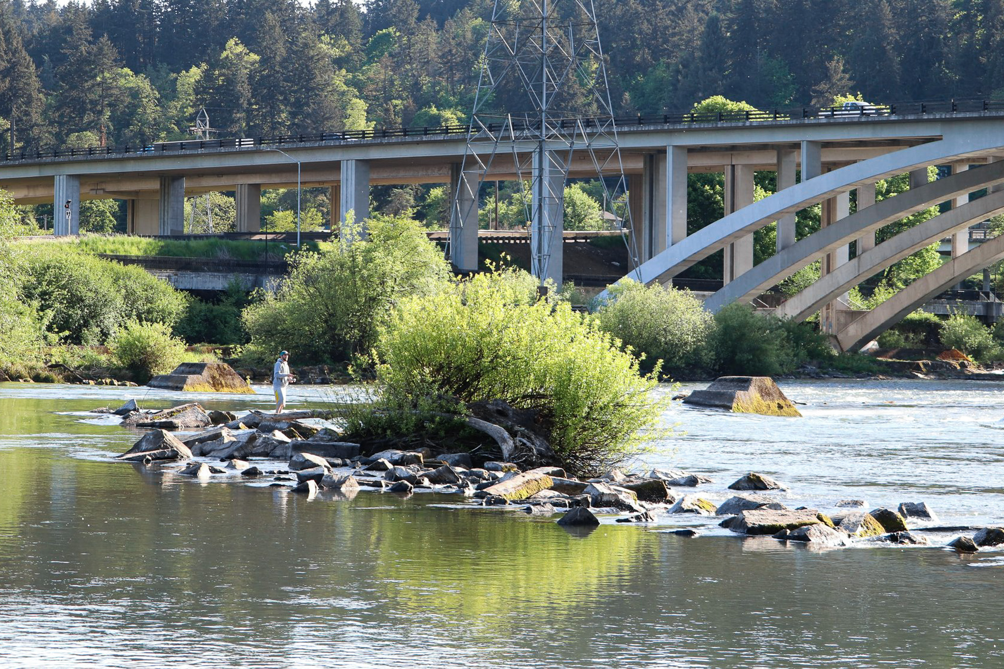 Eastgate Woodlands Willamette River cropped