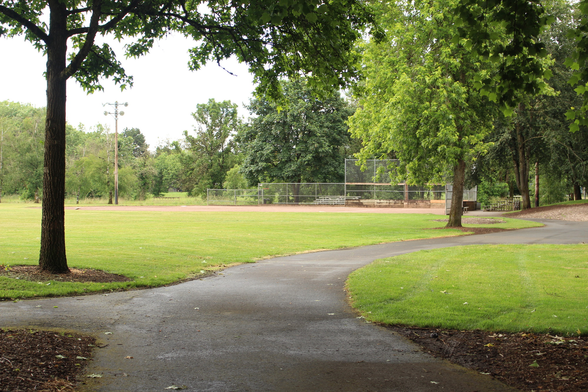 Open green space at Guy Lee Park