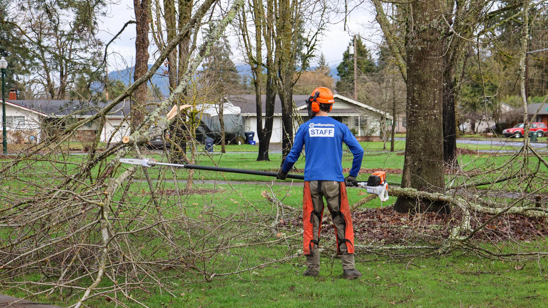 Willamalane staff member cuts fallen branches at Meadow Park