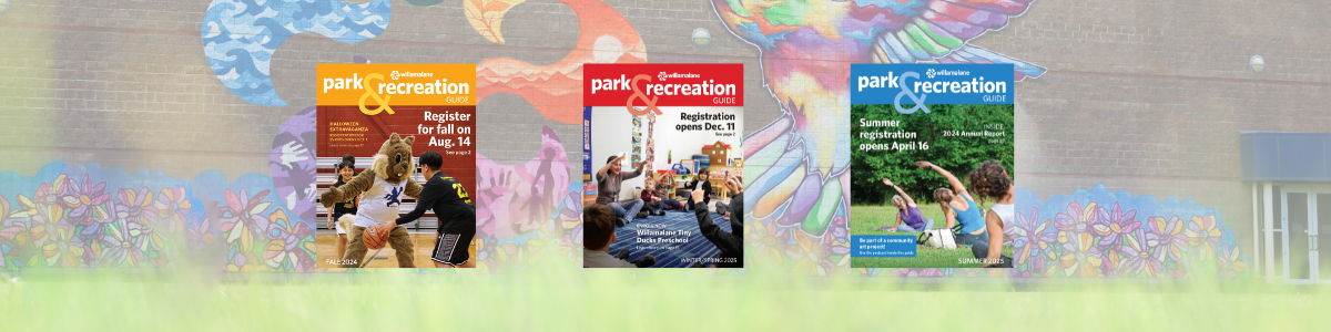rec guide covers