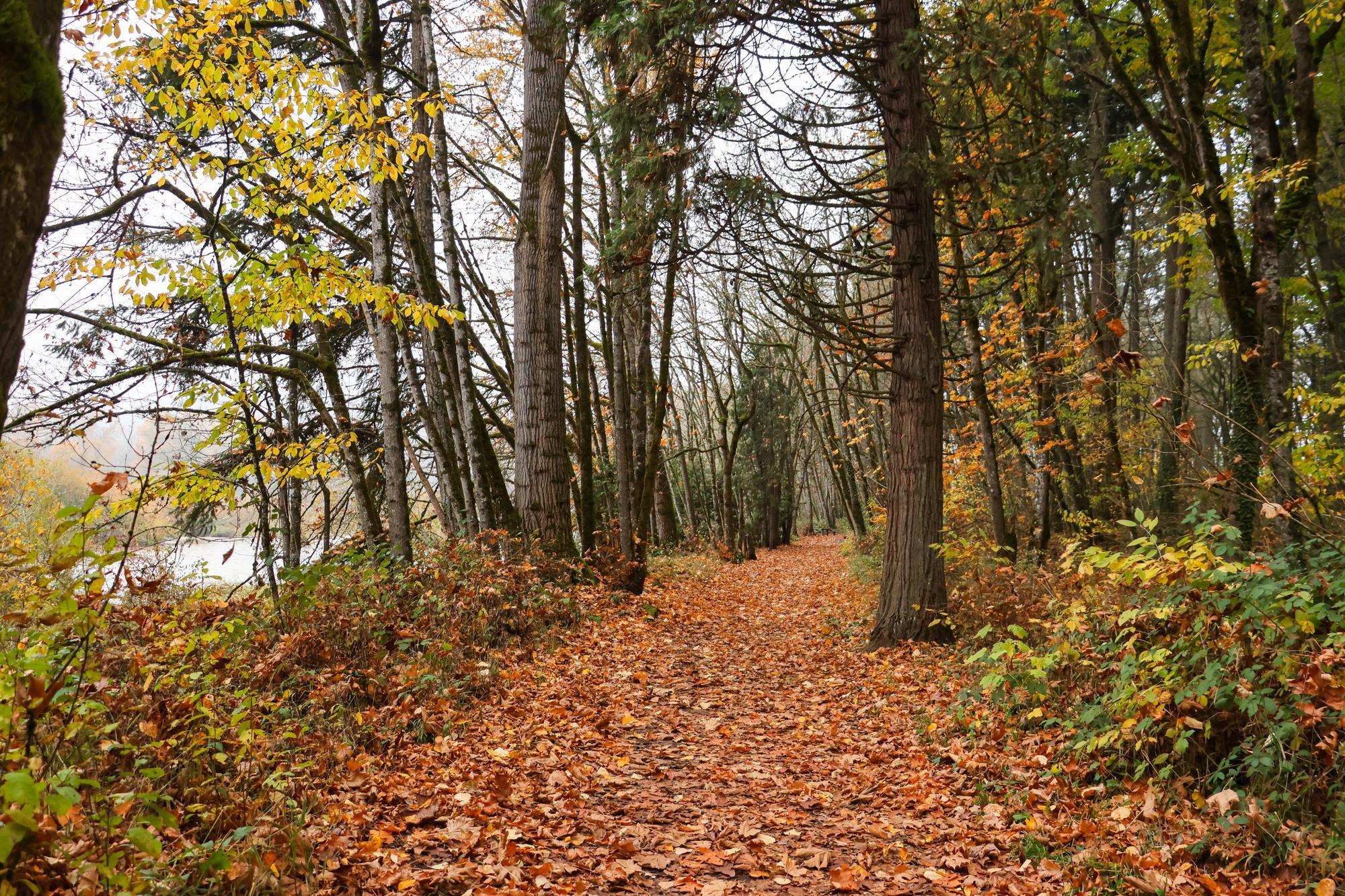 Crunch Quest | Willamalane Park and Recreation District