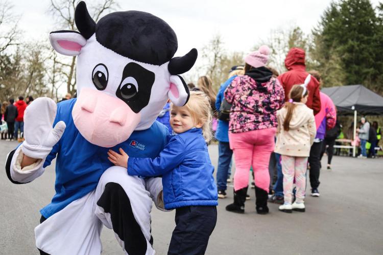 Marti the cow from Dari Mart poses with a young child at Megga Hunt