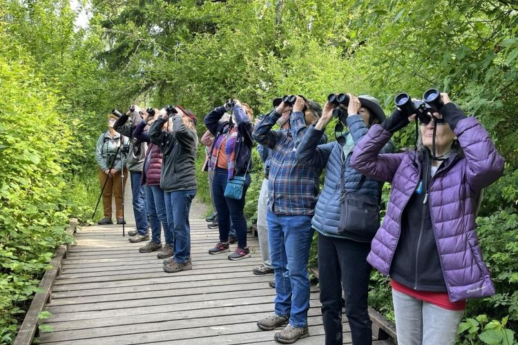 A group of adults hold binoculars, pointed to the sky.