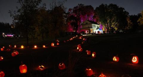 A house glows on top of a hill at night. Glowing pumpkins line the path leading up to it. 