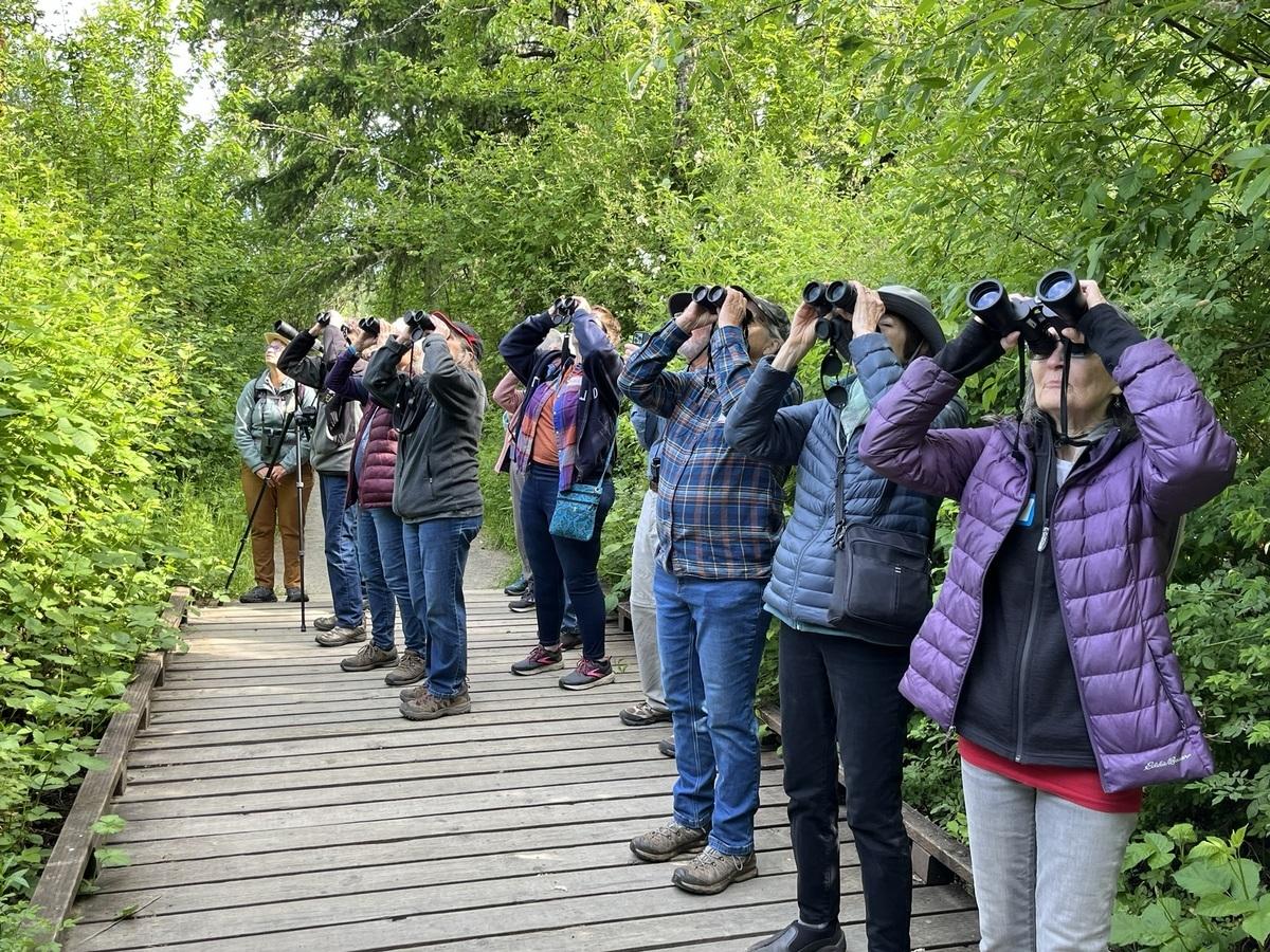 A group of adults hold binoculars, pointed to the sky.