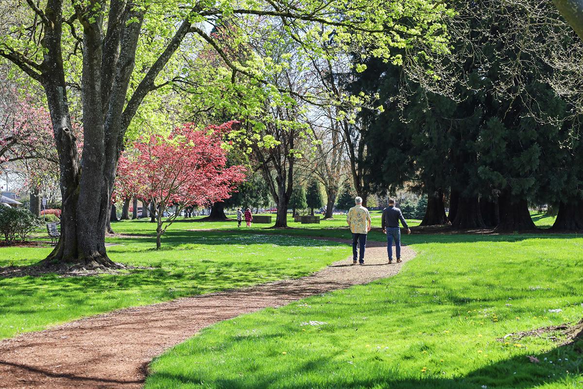 Two people walk down a bark path at Willamalane Park in the spring among blooming trees