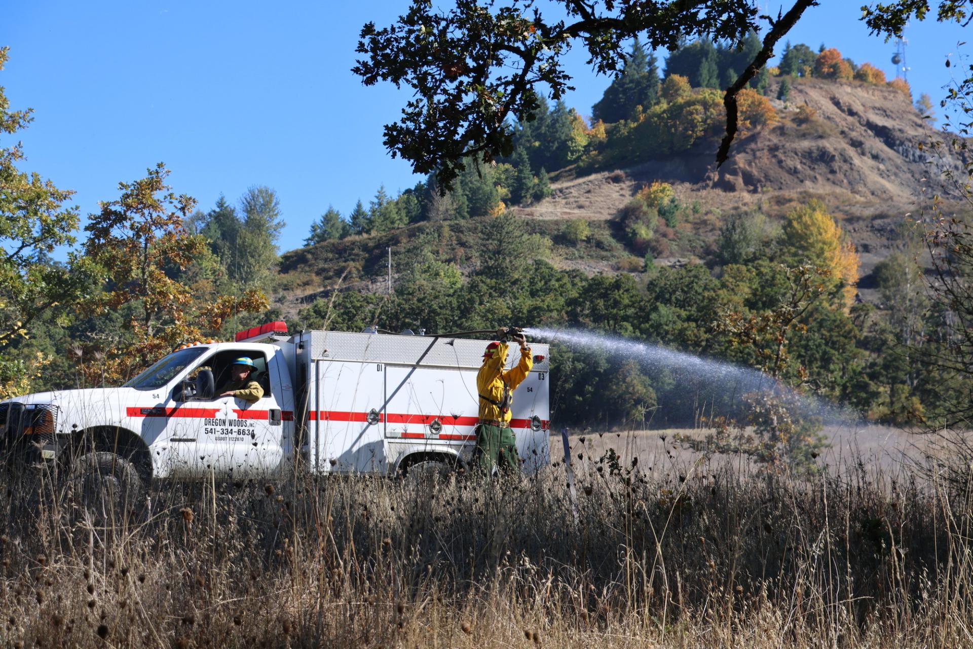 Fire personnel spraying water around an oak tree