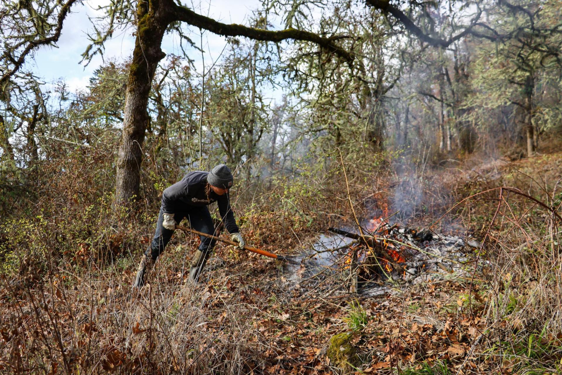Willamalane staff tending to a burn pile at Thurston Hills