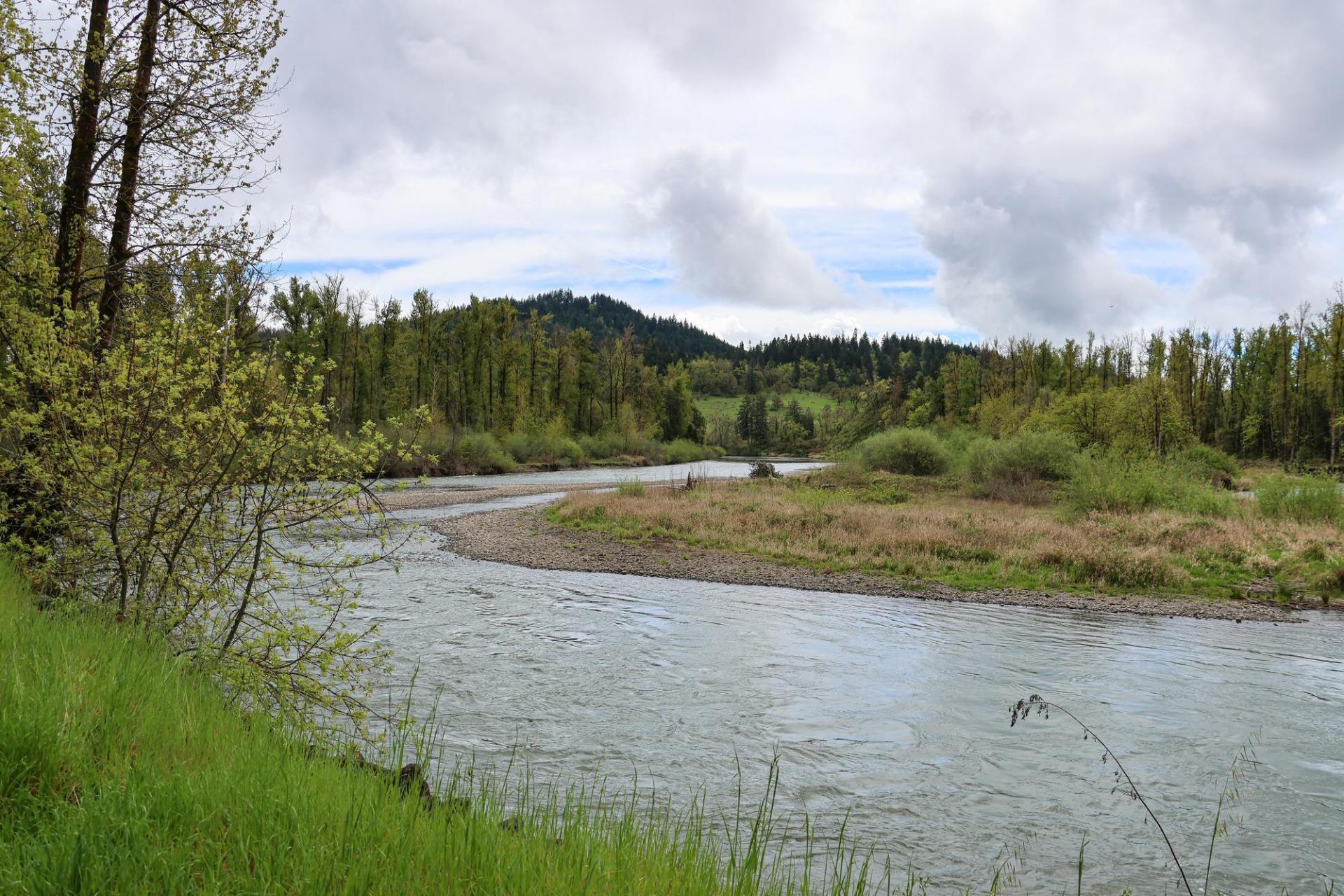 View of the Middle Fork Willamette River in spring