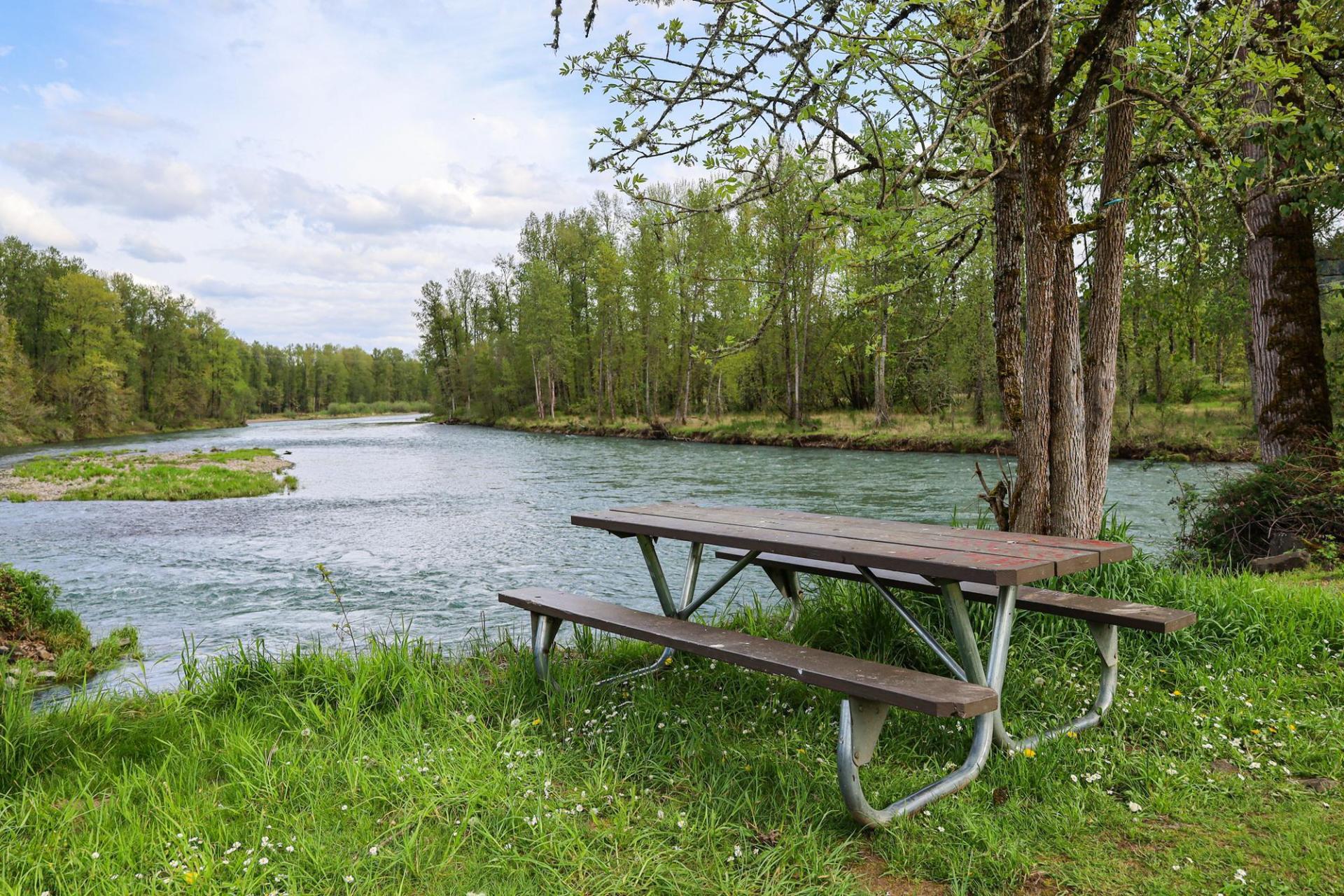 A picnic table overlooking a view of the river in early summer